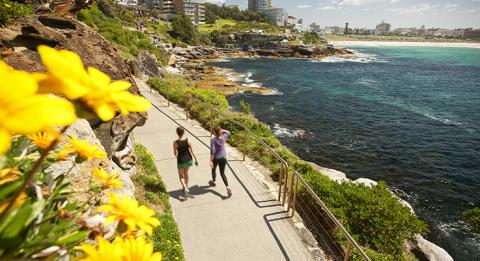 库吉至邦迪的海岸步道 (Coogee to Bondi coastal walk) 沿着海岸从库吉 (Coogee) 步行至邦迪 (Bondi),远方邦迪 (Bondi)