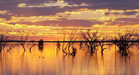 梅宁迪湖 (Lake Menindee) 的日落地带